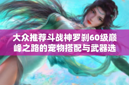 大众推荐斗战神罗刹60级巅峰之路的宠物搭配与武器选择解析