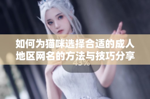 如何为猫咪选择合适的成人地区网名的方法与技巧分享