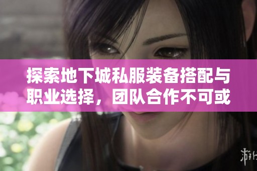 探索地下城私服装备搭配与职业选择，团队合作不可或缺