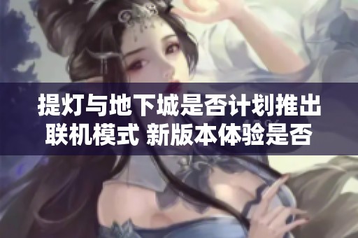 提灯与地下城是否计划推出联机模式 新版本体验是否能让人更有兴趣