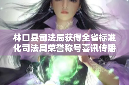 林口县司法局获得全省标准化司法局荣誉称号喜讯传播