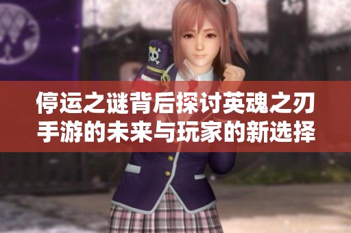 停运之谜背后探讨英魂之刃手游的未来与玩家的新选择