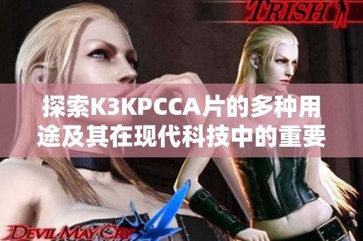 探索K3KPCCA片的多种用途及其在现代科技中的重要性与影响