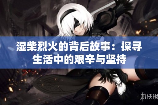 湿柴烈火的背后故事：探寻生活中的艰辛与坚持
