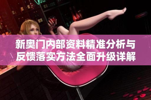 新奥门内部资料精准分析与反馈落实方法全面升级详解