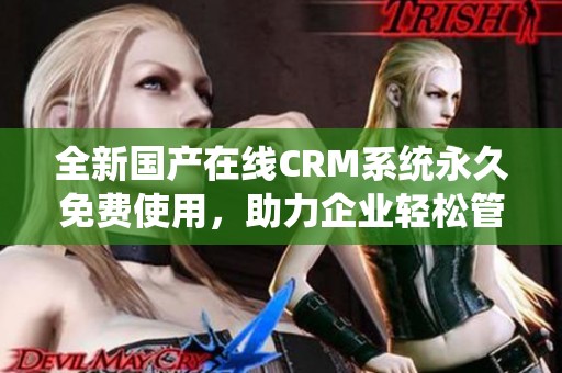 全新国产在线CRM系统永久免费使用，助力企业轻松管理客户关系
