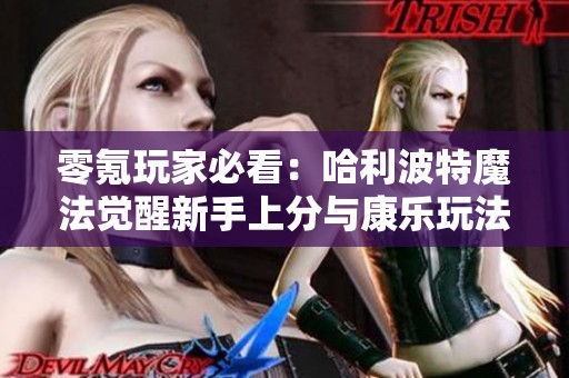 零氪玩家必看：哈利波特魔法觉醒新手上分与康乐玩法详解