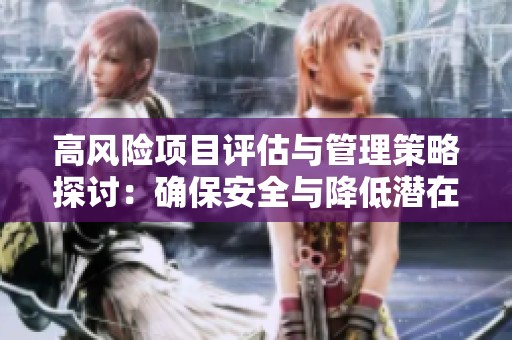高风险项目评估与管理策略探讨：确保安全与降低潜在威胁