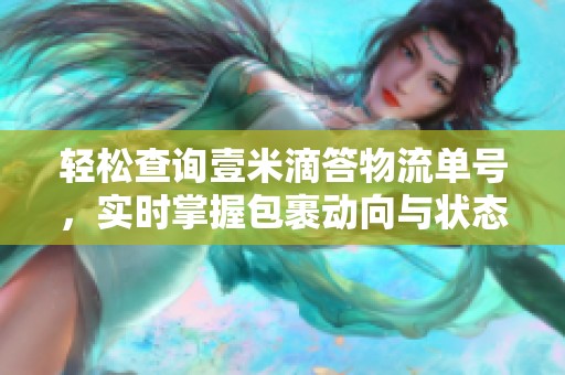 轻松查询壹米滴答物流单号，实时掌握包裹动向与状态