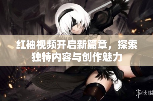 红袖视频开启新篇章，探索独特内容与创作魅力