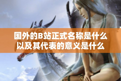 国外的B站正式名称是什么以及其代表的意义是什么