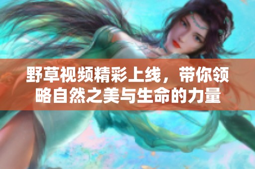 野草视频精彩上线，带你领略自然之美与生命的力量