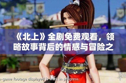 《北上》全剧免费观看，领略故事背后的情感与冒险之旅