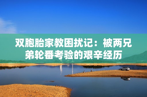 双胞胎家教困扰记：被两兄弟轮番考验的艰辛经历