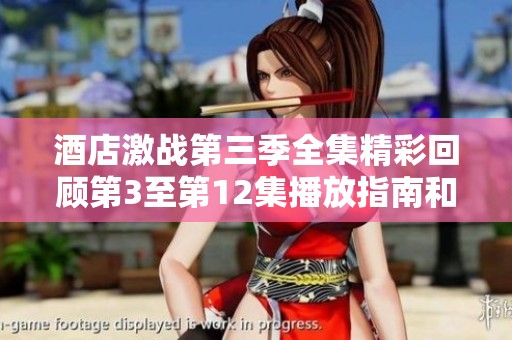 酒店激战第三季全集精彩回顾第3至第12集播放指南和剧情分析